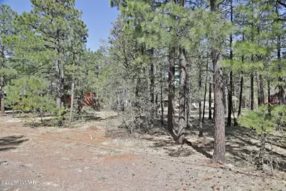 7466 Buck Springs Road, Pinetop, AZ 85935 - Photo 2