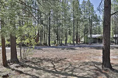 7466 Buck Springs Road, Pinetop, AZ 85935 - Photo 4