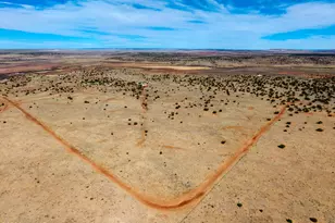 391 N9030, Concho, AZ 85924 - Photo 18