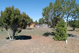 68 Charlene Dr, Concho, AZ 85924 - Photo 52