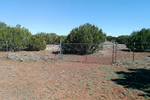 68 Charlene Dr, Concho, AZ 85924 - Photo 58