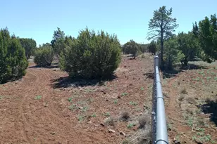 68 Charlene Dr, Concho, AZ 85924 - Photo 56