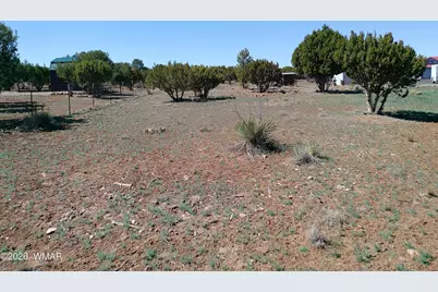 68 Charlene Drive, Concho, AZ 85924 - Photo 50