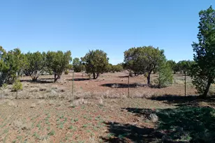 68 Charlene Dr, Concho, AZ 85924 - Photo 54