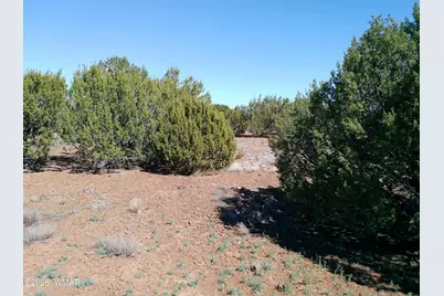 68 Charlene Drive, Concho, AZ 85924 - Photo 54