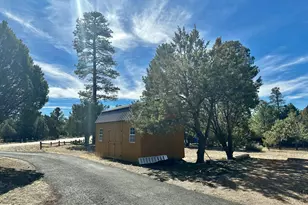 2974 Wapiti Dr, Overgaard, AZ 85933 - Photo 18