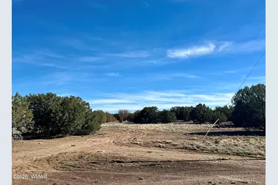 7980 Shehan Road, Show Low, AZ 85901 - Photo 4