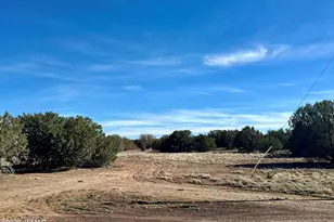 7980 Shehan Rd, Show Low, AZ 85901 - Photo 4