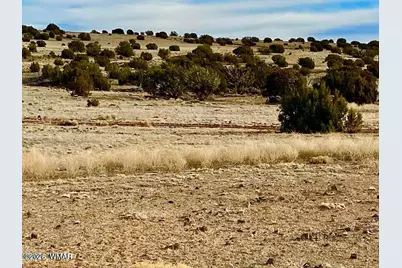 Tbd Co Rd 5201 1.22 Acres, Concho, AZ 85924 - Photo 10