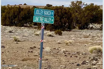 Tbd Co Rd 5201 1.22 Acres, Concho, AZ 85924 - Photo 16