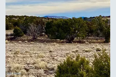 Tbd Co Rd 5201 1.22 Acres, Concho, AZ 85924 - Photo 6