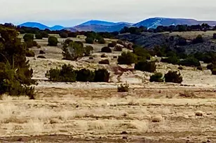 Tbd Co Rd 5201 1 22 Acres, Concho, AZ 85924 - Photo 1