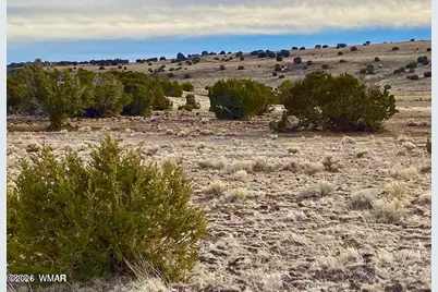 Tbd Co Rd 5201 1.22 Acres, Concho, AZ 85924 - Photo 14