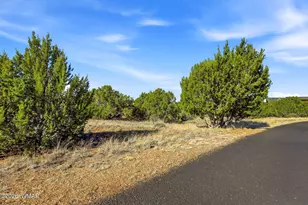 8379 Lake View Dr, Show Low, AZ 85901 - Photo 1