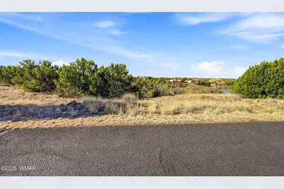 8379 Lake View Drive, Show Low, AZ 85901 - Photo 2