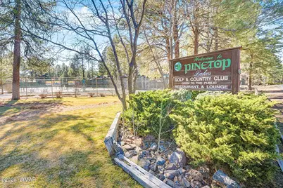 7345 Tall Pine Drive, Pinetop, AZ 85935 - Photo 42