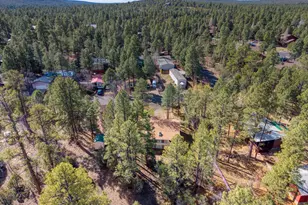 3150 W Whipple St, Show Low, AZ 85901 - Photo 28