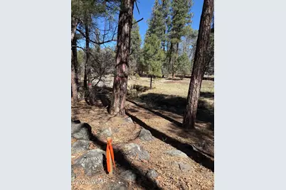 1030 Big Springs Trail, Lakeside, AZ 85929 - Photo 8
