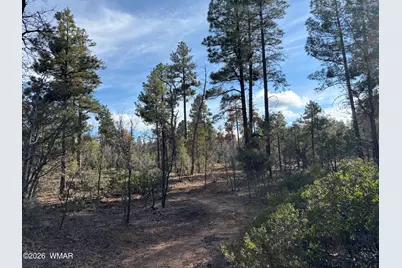 6992 Wagon Wheel Lane, Lakeside, AZ 85929 - Photo 8