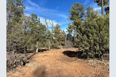 6992 Wagon Wheel Lane, Lakeside, AZ 85929 - Photo 1