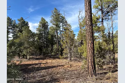 6992 Wagon Wheel Lane, Lakeside, AZ 85929 - Photo 10