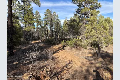 6992 Wagon Wheel Lane, Lakeside, AZ 85929 - Photo 4