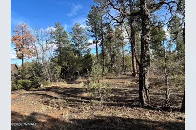 6992 Wagon Wheel Lane, Lakeside, AZ 85929 - Photo 2