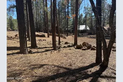 3430 Blacksmith Trail, Pinetop, AZ 85935 - Photo 2