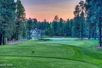 8224 White Oak Road, Pinetop, AZ 85935 - Photo 48