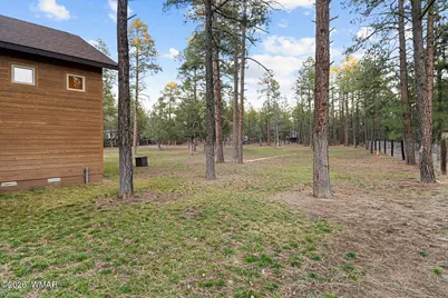 1404 Hand Cart Trail, Lakeside, AZ 85929 - Photo 66