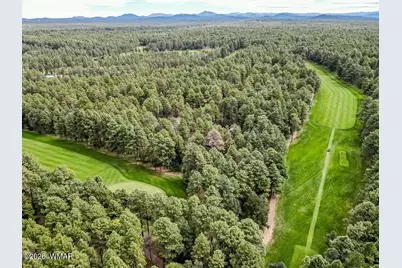 3344 Woodpecker Lane, Pinetop, AZ 85935 - Photo 36