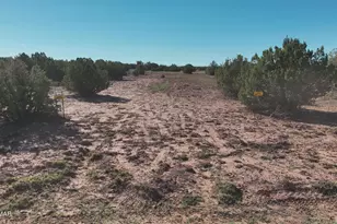 9445 Texas Ln, Show Low, AZ 85901 - Photo 1