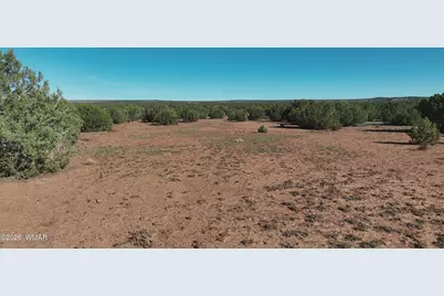 9445 Texas Lane, Show Low, AZ 85901 - Photo 4