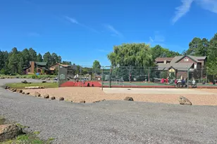 955 Rainbow View Dr, Lakeside, AZ 85929 - Photo 38