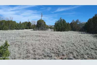 Tbd Concho Valley 1 Drive, Concho, AZ 85924 - Photo 4