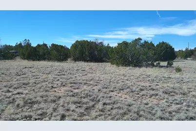 Tbd Concho Valley 1 Drive, Concho, AZ 85924 - Photo 14