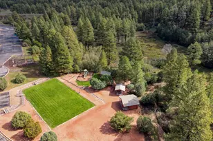 4520 W Tatanka Loop, Show Low, AZ 85901 - Photo 20