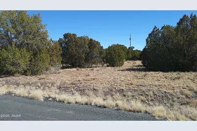 24 Wood Lane, Concho, AZ 85924 - Photo 2