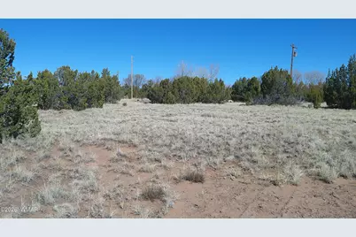 24 Wood Lane, Concho, AZ 85924 - Photo 6