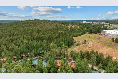 4241 S Elk Trot Loop, Show Low, AZ 85901 - Photo 24