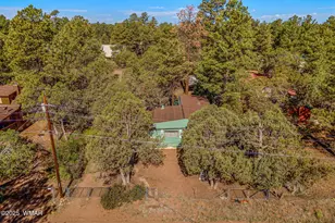 2888 Dale Rd, Overgaard, AZ 85933 - Photo 20