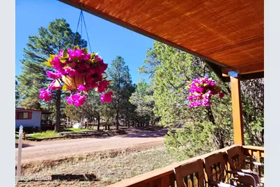 2086 Pinewood Drive, Overgaard, AZ 85933 - Photo 40