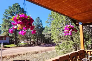 2086 Pinewood Dr, Overgaard, AZ 85933 - Photo 40