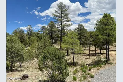 3372 Whisper Lane, Heber, AZ 85928 - Photo 1