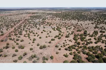 234 N9211, Concho, AZ 85924 - Photo 42