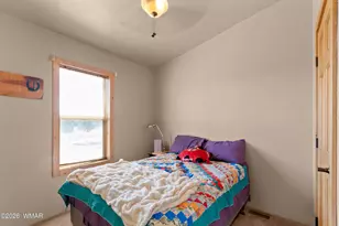 234 N9211, Concho, AZ 85924 - Photo 12