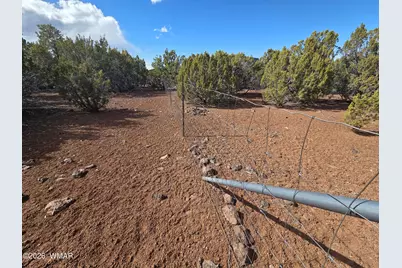 179 County Road 3158, Vernon, AZ 85940 - Photo 8