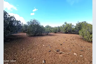 179 County Road 3158, Vernon, AZ 85940 - Photo 12