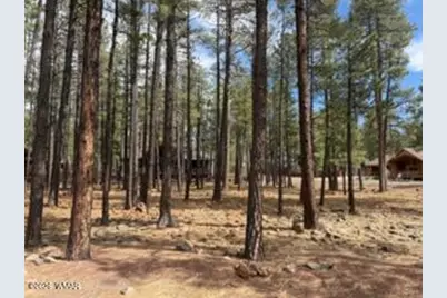 7776 Buck Springs Road, Pinetop, AZ 85935 - Photo 1
