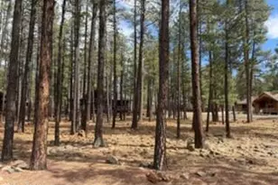 7776 Buck Springs Rd, Pinetop, AZ 85935 - Photo 1